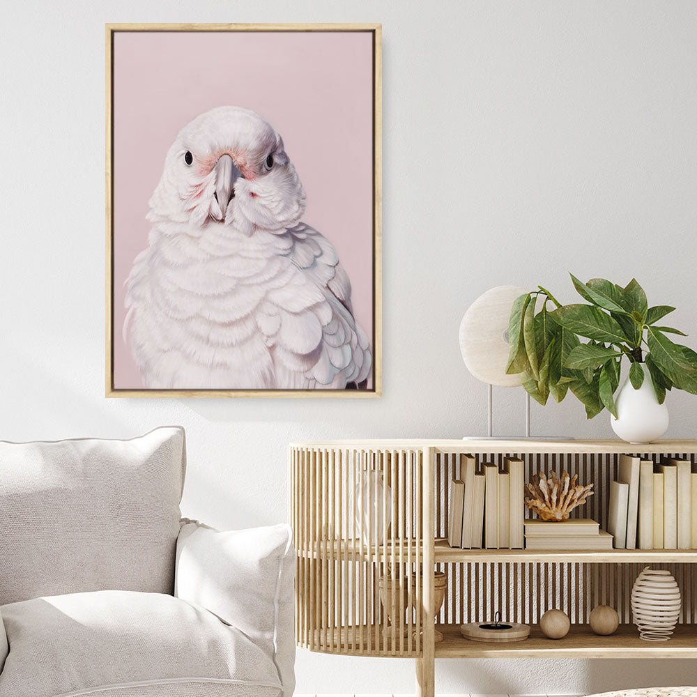 Shop Milly The Umbrella Cockatoo - Pink Canvas Print a painted bird themed framed canvas wall art print from The Print Emporium artwork collection - Buy Australian made fine art painting style stretched canvas prints for the home and your interior decor space, TPE-244-CA-35X46-NF