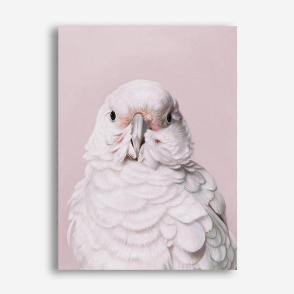 Shop Milly The Umbrella Cockatoo - Pink Canvas Print a painted bird themed framed canvas wall art print from The Print Emporium artwork collection - Buy Australian made fine art painting style stretched canvas prints for the home and your interior decor space, TPE-244-CA-35X46-NF