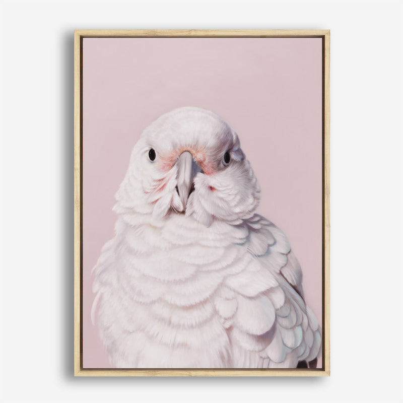 Shop Milly The Umbrella Cockatoo - Pink Canvas Print a painted bird themed framed canvas wall art print from The Print Emporium artwork collection - Buy Australian made fine art painting style stretched canvas prints for the home and your interior decor space, TPE-244-CA-35X46-NF