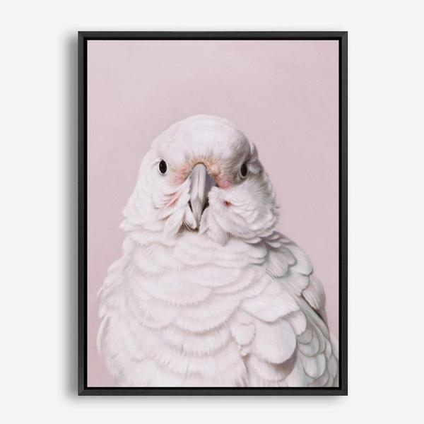 Shop Milly The Umbrella Cockatoo - Pink Canvas Print a painted bird themed framed canvas wall art print from The Print Emporium artwork collection - Buy Australian made fine art painting style stretched canvas prints for the home and your interior decor space, TPE-244-CA-35X46-NF