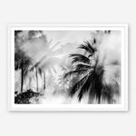 Shop Monochrome Palms Photo Art Print a coastal themed photography wall art print from The Print Emporium wall artwork collection - Buy Australian made fine art poster and framed prints for the home and your interior decor, TPE-544-AP