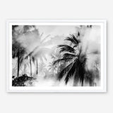 Shop Monochrome Palms Photo Art Print a coastal themed photography wall art print from The Print Emporium wall artwork collection - Buy Australian made fine art poster and framed prints for the home and your interior decor, TPE-544-AP