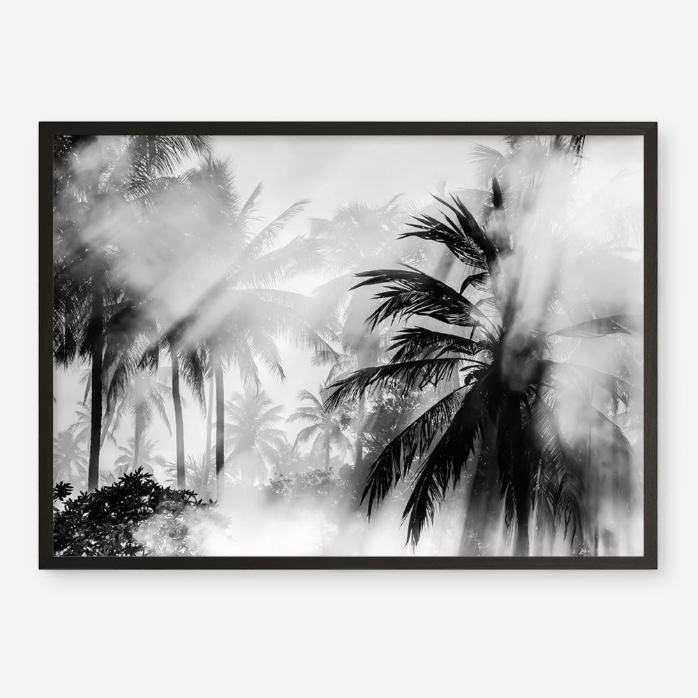 Shop Monochrome Palms Photo Art Print a coastal themed photography wall art print from The Print Emporium wall artwork collection - Buy Australian made fine art poster and framed prints for the home and your interior decor, TPE-544-AP
