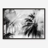 Shop Monochrome Palms Photo Art Print a coastal themed photography wall art print from The Print Emporium wall artwork collection - Buy Australian made fine art poster and framed prints for the home and your interior decor, TPE-544-AP