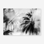 Shop Monochrome Palms Photo Art Print a coastal themed photography wall art print from The Print Emporium wall artwork collection - Buy Australian made fine art poster and framed prints for the home and your interior decor, TPE-544-AP