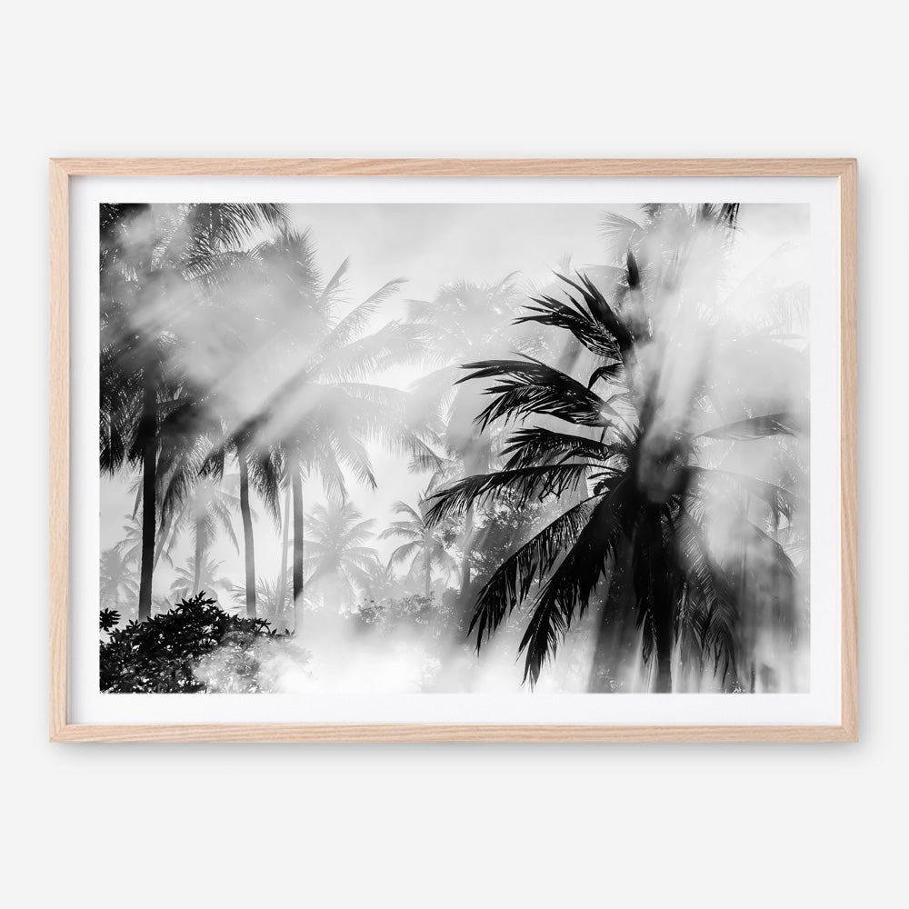 Shop Monochrome Palms Photo Art Print a coastal themed photography wall art print from The Print Emporium wall artwork collection - Buy Australian made fine art poster and framed prints for the home and your interior decor, TPE-544-AP