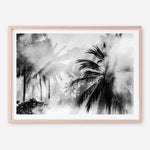 Shop Monochrome Palms Photo Art Print a coastal themed photography wall art print from The Print Emporium wall artwork collection - Buy Australian made fine art poster and framed prints for the home and your interior decor, TPE-544-AP