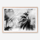 Shop Monochrome Palms Photo Art Print a coastal themed photography wall art print from The Print Emporium wall artwork collection - Buy Australian made fine art poster and framed prints for the home and your interior decor, TPE-544-AP