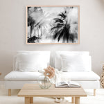 Shop Monochrome Palms Photo Art Print a coastal themed photography wall art print from The Print Emporium wall artwork collection - Buy Australian made fine art poster and framed prints for the home and your interior decor, TPE-544-AP