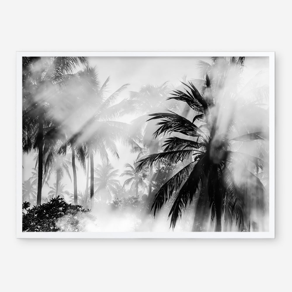 Shop Monochrome Palms Photo Art Print a coastal themed photography wall art print from The Print Emporium wall artwork collection - Buy Australian made fine art poster and framed prints for the home and your interior decor, TPE-544-AP