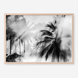 Shop Monochrome Palms Photo Art Print a coastal themed photography wall art print from The Print Emporium wall artwork collection - Buy Australian made fine art poster and framed prints for the home and your interior decor, TPE-544-AP