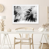 Shop Monochrome Palms Photo Art Print a coastal themed photography wall art print from The Print Emporium wall artwork collection - Buy Australian made fine art poster and framed prints for the home and your interior decor, TPE-544-AP