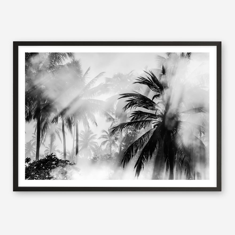 Shop Monochrome Palms Photo Art Print a coastal themed photography wall art print from The Print Emporium wall artwork collection - Buy Australian made fine art poster and framed prints for the home and your interior decor, TPE-544-AP