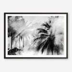 Shop Monochrome Palms Photo Art Print a coastal themed photography wall art print from The Print Emporium wall artwork collection - Buy Australian made fine art poster and framed prints for the home and your interior decor, TPE-544-AP
