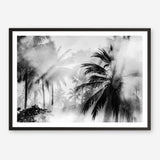 Shop Monochrome Palms Photo Art Print a coastal themed photography wall art print from The Print Emporium wall artwork collection - Buy Australian made fine art poster and framed prints for the home and your interior decor, TPE-544-AP