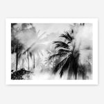 Shop Monochrome Palms Photo Art Print a coastal themed photography wall art print from The Print Emporium wall artwork collection - Buy Australian made fine art poster and framed prints for the home and your interior decor, TPE-544-AP