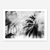 Shop Monochrome Palms Photo Art Print a coastal themed photography wall art print from The Print Emporium wall artwork collection - Buy Australian made fine art poster and framed prints for the home and your interior decor, TPE-544-AP