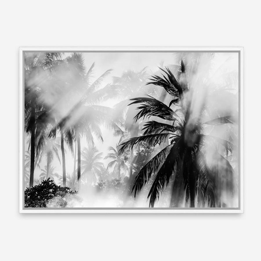 Shop Monochrome Palms Photo Canvas Print a coastal themed photography framed stretched canvas print from The Print Emporium wall artwork collection - Buy Australian made prints for the home and your interior decor space, TPE-544-CA-35X46-NF