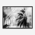 Shop Monochrome Palms Photo Canvas Print a coastal themed photography framed stretched canvas print from The Print Emporium wall artwork collection - Buy Australian made prints for the home and your interior decor space, TPE-544-CA-35X46-NF