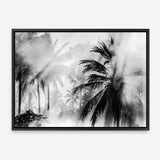 Shop Monochrome Palms Photo Canvas Print a coastal themed photography framed stretched canvas print from The Print Emporium wall artwork collection - Buy Australian made prints for the home and your interior decor space, TPE-544-CA-35X46-NF