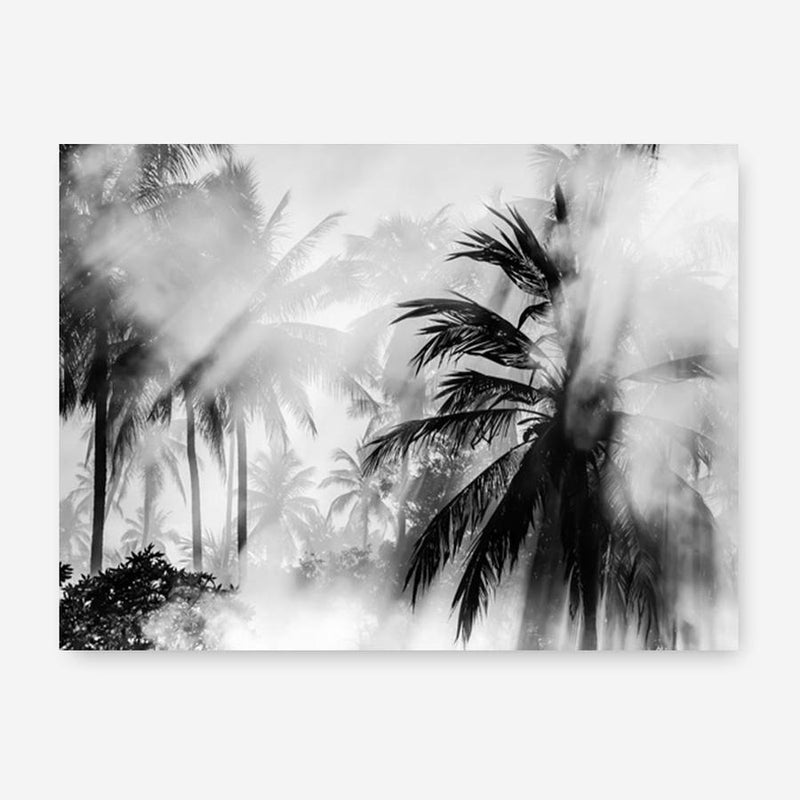 Shop Monochrome Palms Photo Canvas Print a coastal themed photography framed stretched canvas print from The Print Emporium wall artwork collection - Buy Australian made prints for the home and your interior decor space, TPE-544-CA-35X46-NF