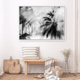 Shop Monochrome Palms Photo Canvas Print a coastal themed photography framed stretched canvas print from The Print Emporium wall artwork collection - Buy Australian made prints for the home and your interior decor space, TPE-544-CA-35X46-NF