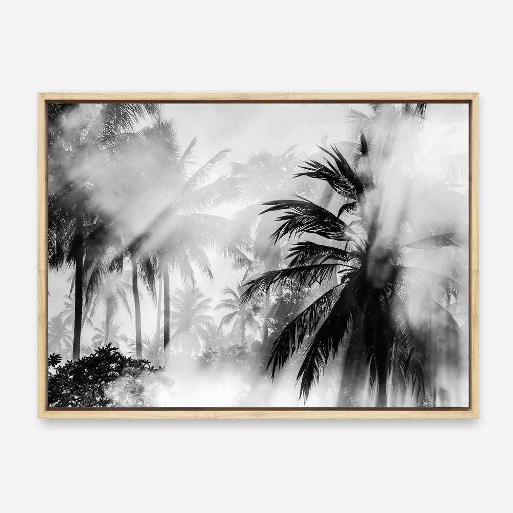 Shop Monochrome Palms Photo Canvas Print a coastal themed photography framed stretched canvas print from The Print Emporium wall artwork collection - Buy Australian made prints for the home and your interior decor space, TPE-544-CA-35X46-NF