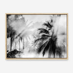 Shop Monochrome Palms Photo Canvas Print a coastal themed photography framed stretched canvas print from The Print Emporium wall artwork collection - Buy Australian made prints for the home and your interior decor space, TPE-544-CA-35X46-NF
