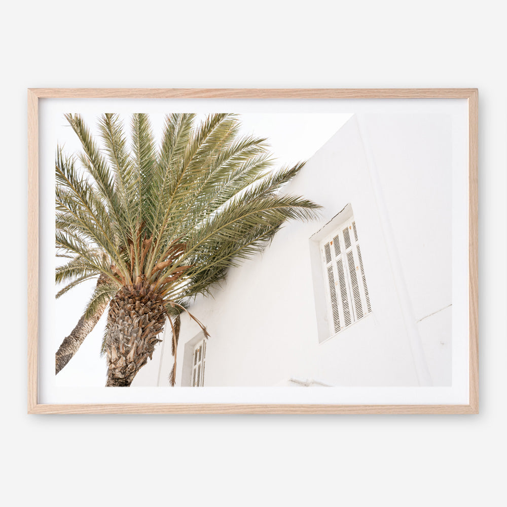 Shop Mykonos Palm Villa I Photo Art Print a coastal themed photography wall art print from The Print Emporium wall artwork collection - Buy Australian made fine art poster and framed prints for the home and your interior decor, TPE-1357-AP