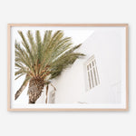 Shop Mykonos Palm Villa I Photo Art Print a coastal themed photography wall art print from The Print Emporium wall artwork collection - Buy Australian made fine art poster and framed prints for the home and your interior decor, TPE-1357-AP