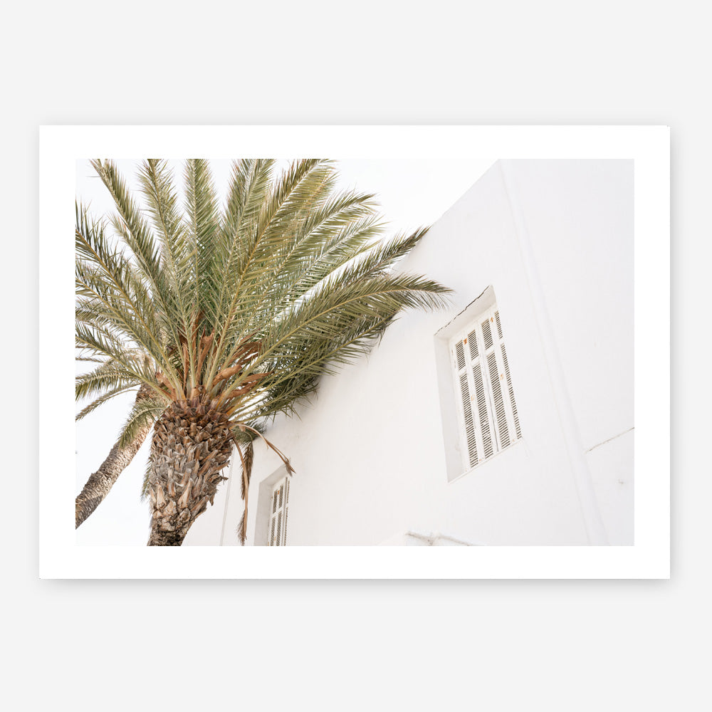 Shop Mykonos Palm Villa I Photo Art Print a coastal themed photography wall art print from The Print Emporium wall artwork collection - Buy Australian made fine art poster and framed prints for the home and your interior decor, TPE-1357-AP