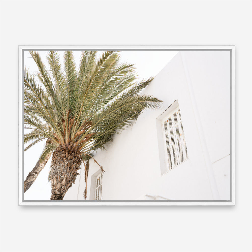 Shop Mykonos Palm Villa I Photo Canvas Print a coastal themed photography framed stretched canvas print from The Print Emporium wall artwork collection - Buy Australian made prints for the home and your interior decor space, TPE-1357-CA-35X46-NF