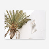 Shop Mykonos Palm Villa I Photo Canvas Print a coastal themed photography framed stretched canvas print from The Print Emporium wall artwork collection - Buy Australian made prints for the home and your interior decor space, TPE-1357-CA-35X46-NF