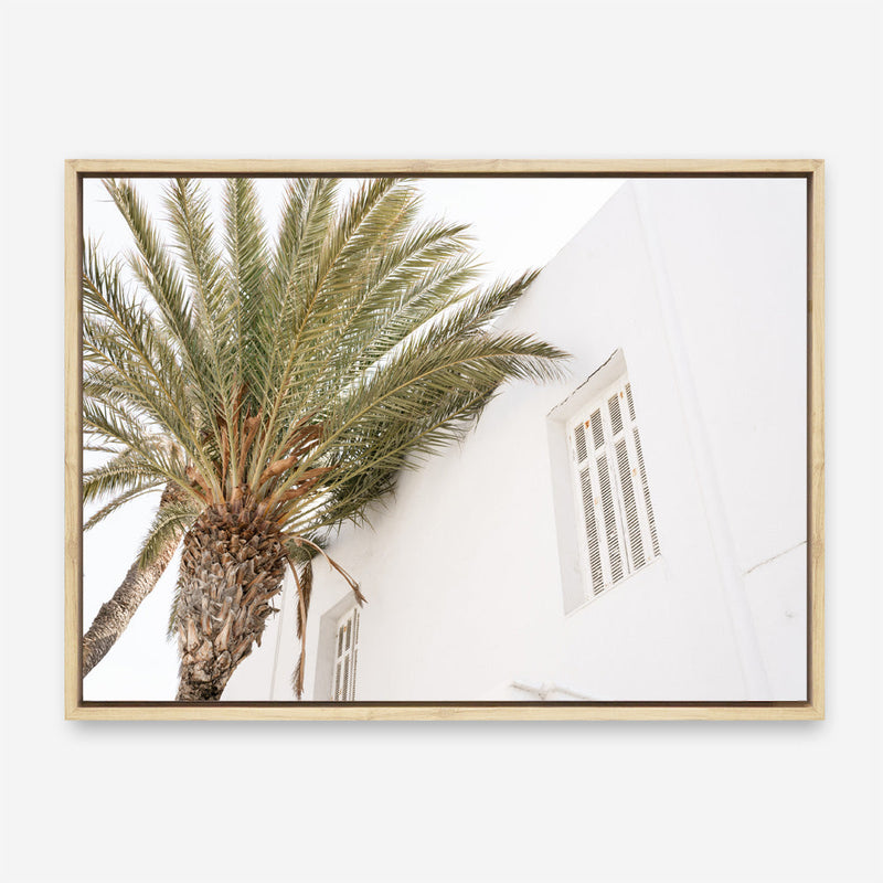 Shop Mykonos Palm Villa I Photo Canvas Print a coastal themed photography framed stretched canvas print from The Print Emporium wall artwork collection - Buy Australian made prints for the home and your interior decor space, TPE-1357-CA-35X46-NF