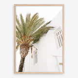 Shop Mykonos Palm Villa II Photo Art Print a coastal themed photography wall art print from The Print Emporium wall artwork collection - Buy Australian made fine art poster and framed prints for the home and your interior decor, TPE-1367-AP