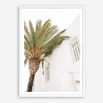Shop Mykonos Palm Villa II Photo Art Print a coastal themed photography wall art print from The Print Emporium wall artwork collection - Buy Australian made fine art poster and framed prints for the home and your interior decor, TPE-1367-AP