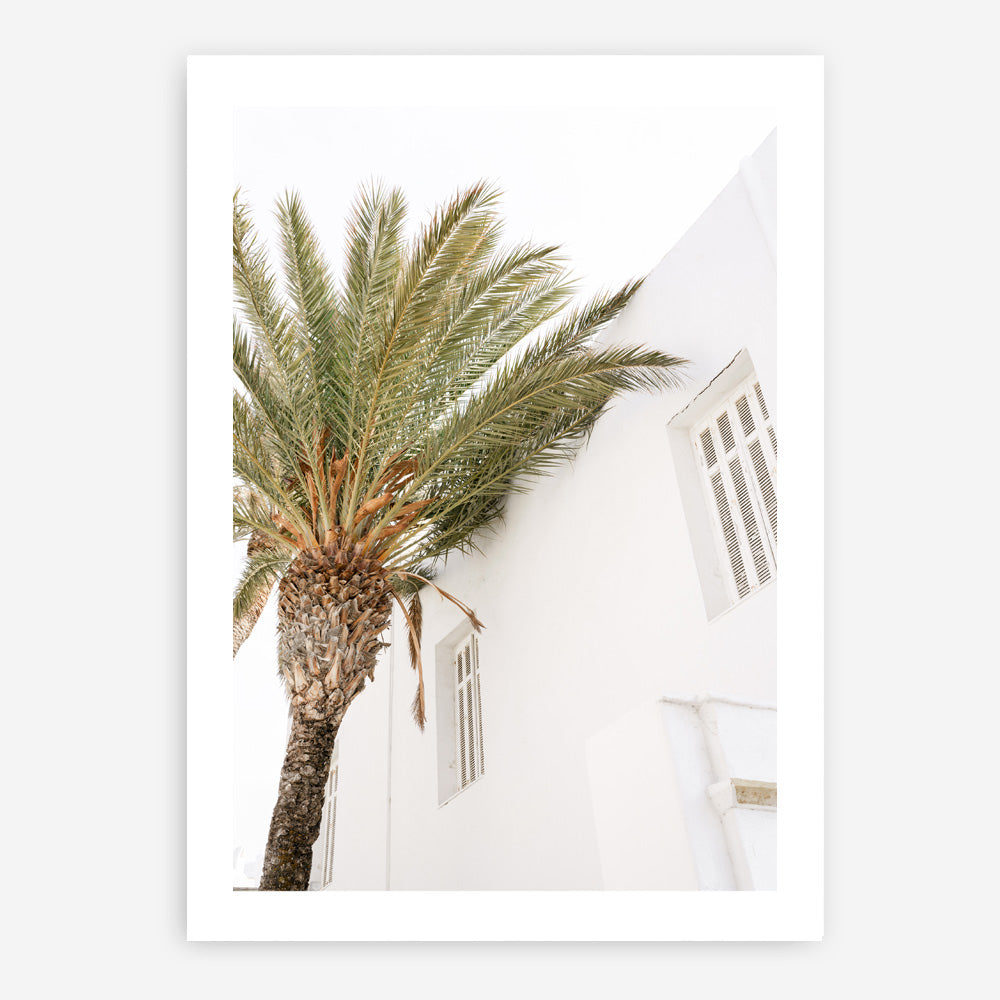 Shop Mykonos Palm Villa II Photo Art Print a coastal themed photography wall art print from The Print Emporium wall artwork collection - Buy Australian made fine art poster and framed prints for the home and your interior decor, TPE-1367-AP