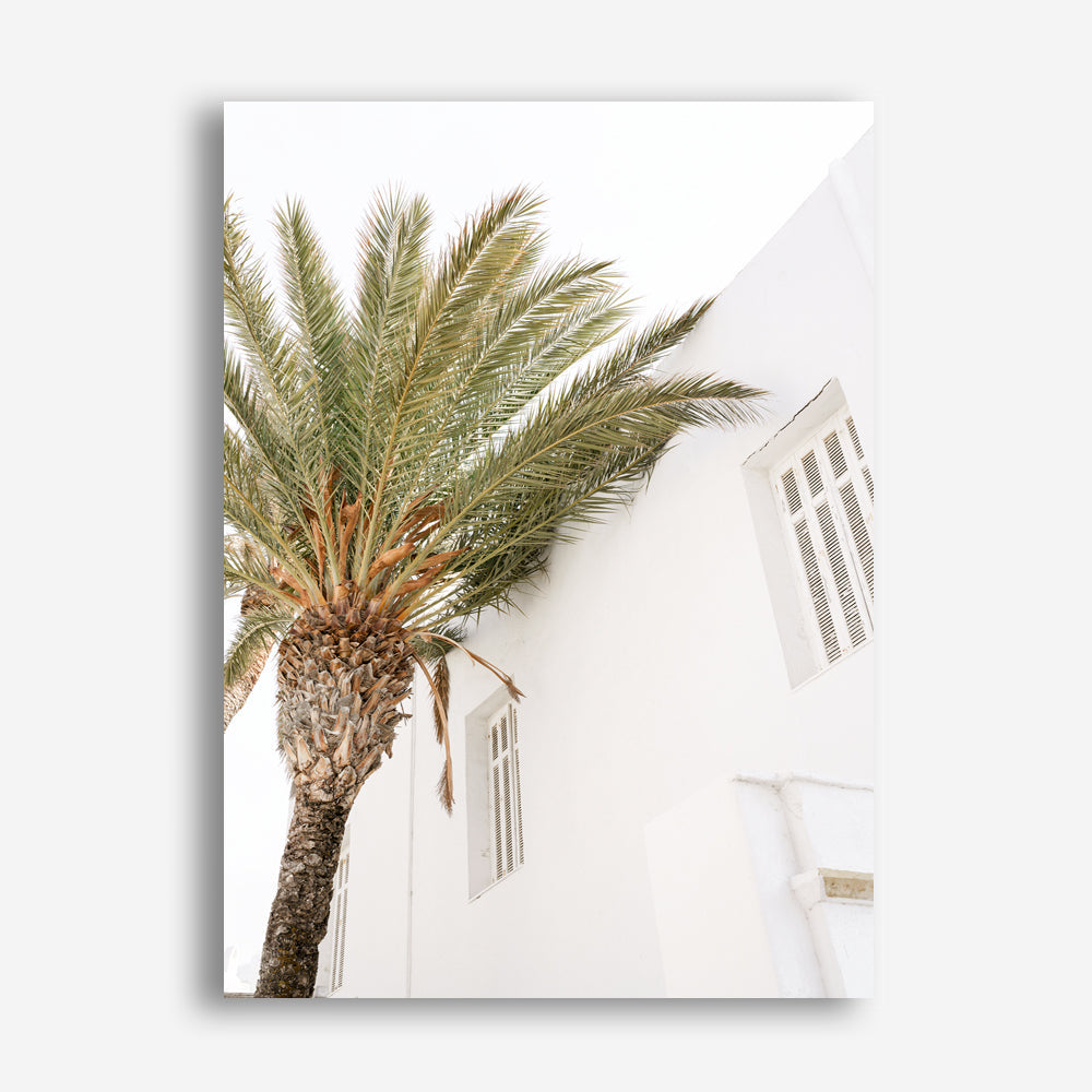 Shop Mykonos Palm Villa II Photo Canvas Print a coastal themed photography framed stretched canvas print from The Print Emporium wall artwork collection - Buy Australian made prints for the home and your interior decor space, TPE-1367-CA-35X46-NF