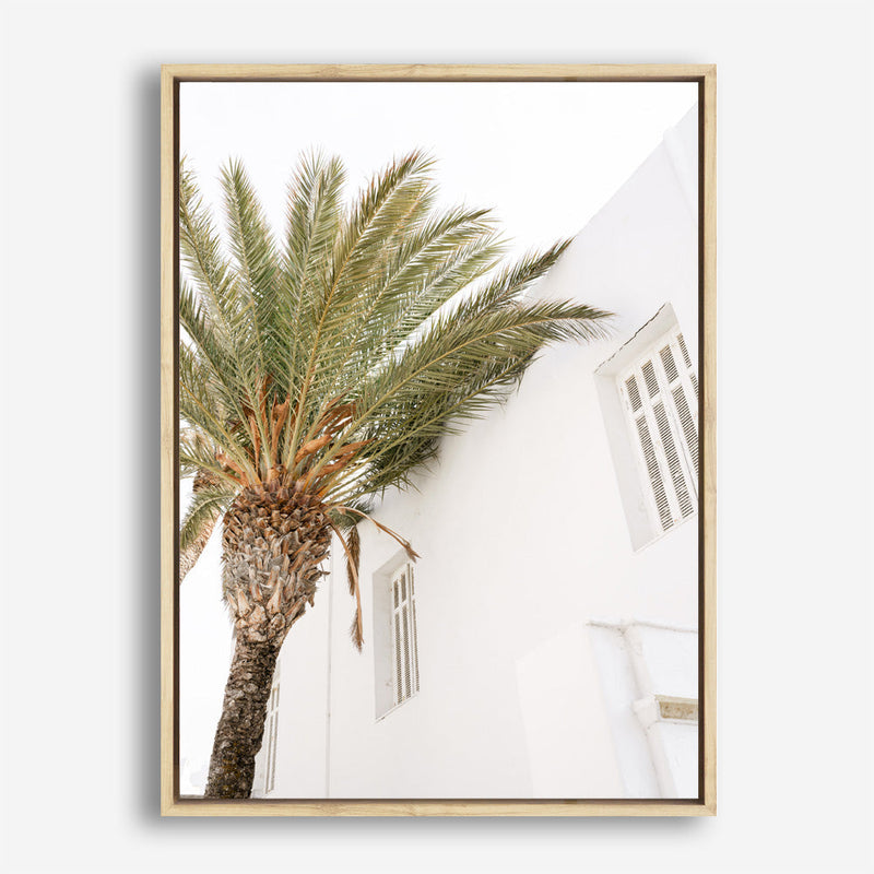 Shop Mykonos Palm Villa II Photo Canvas Print a coastal themed photography framed stretched canvas print from The Print Emporium wall artwork collection - Buy Australian made prints for the home and your interior decor space, TPE-1367-CA-35X46-NF