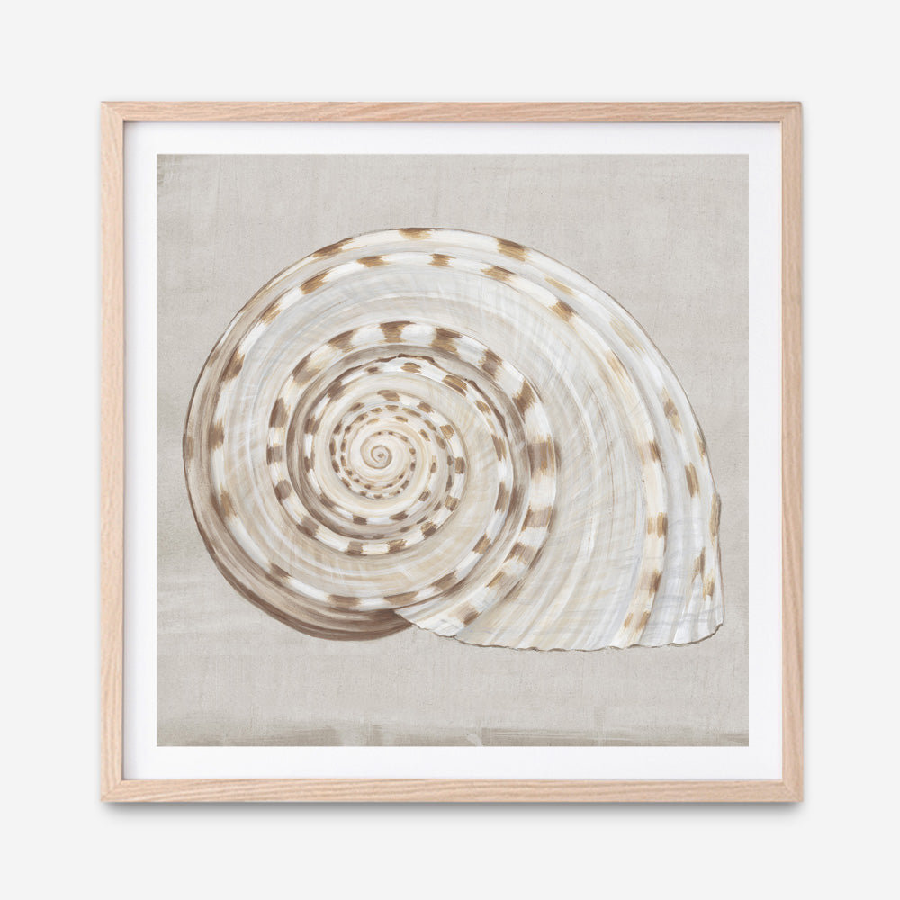 Shop Neutral Shells I (Square) Art Print a painted abstract themed wall art print from The Print Emporium wall artwork collection - Buy Australian made fine art painting style poster and framed prints for the home and your interior decor room, TPE-PC-EW142-AP