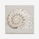 Shop Neutral Shells I (Square) Art Print a painted abstract themed wall art print from The Print Emporium wall artwork collection - Buy Australian made fine art painting style poster and framed prints for the home and your interior decor room, TPE-PC-EW142-AP