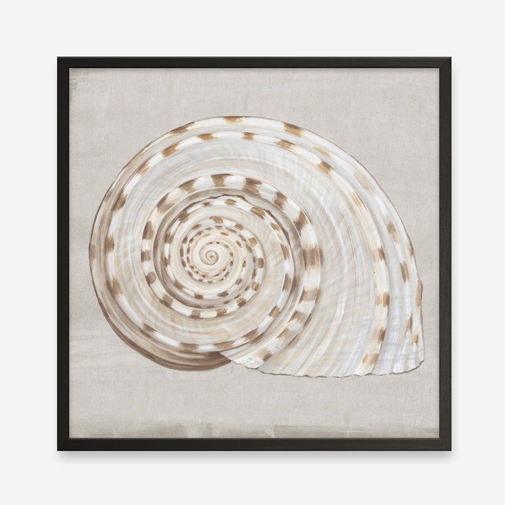 Shop Neutral Shells I (Square) Art Print a painted abstract themed wall art print from The Print Emporium wall artwork collection - Buy Australian made fine art painting style poster and framed prints for the home and your interior decor room, TPE-PC-EW142-AP