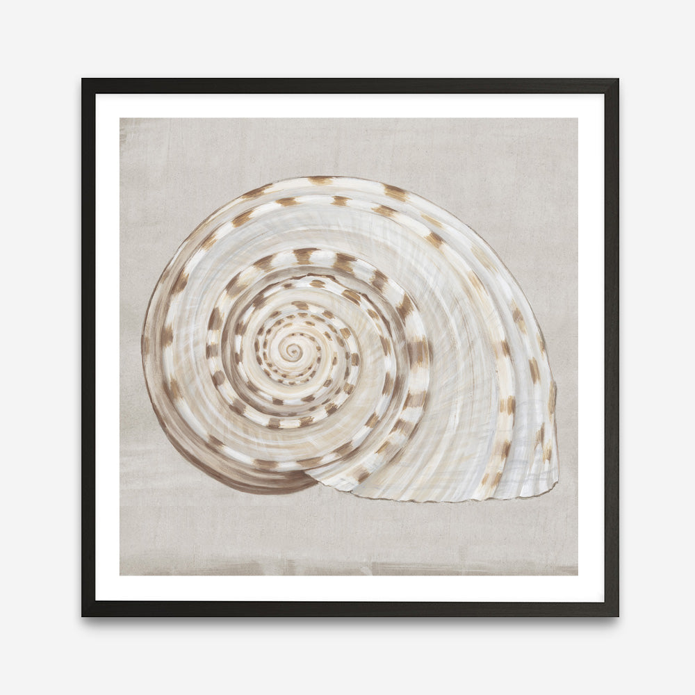 Shop Neutral Shells I (Square) Art Print a painted abstract themed wall art print from The Print Emporium wall artwork collection - Buy Australian made fine art painting style poster and framed prints for the home and your interior decor room, TPE-PC-EW142-AP
