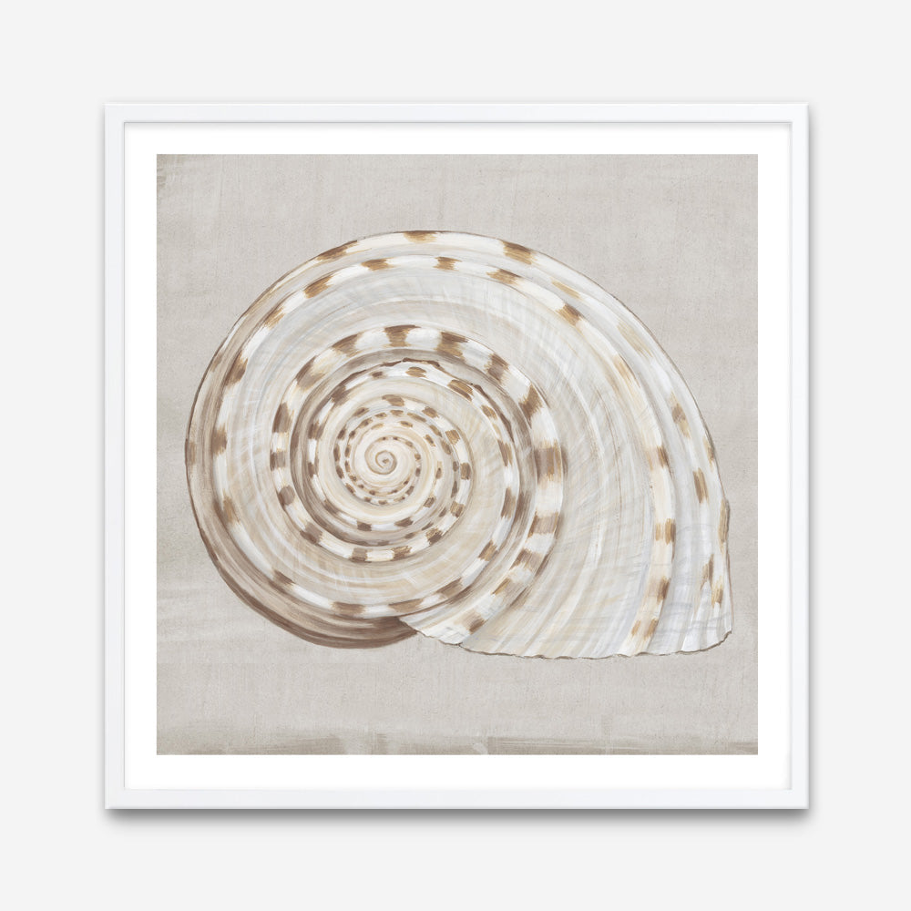 Shop Neutral Shells I (Square) Art Print a painted abstract themed wall art print from The Print Emporium wall artwork collection - Buy Australian made fine art painting style poster and framed prints for the home and your interior decor room, TPE-PC-EW142-AP