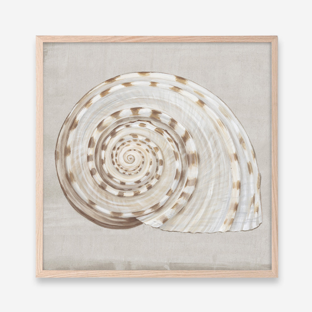 Shop Neutral Shells I (Square) Art Print a painted abstract themed wall art print from The Print Emporium wall artwork collection - Buy Australian made fine art painting style poster and framed prints for the home and your interior decor room, TPE-PC-EW142-AP