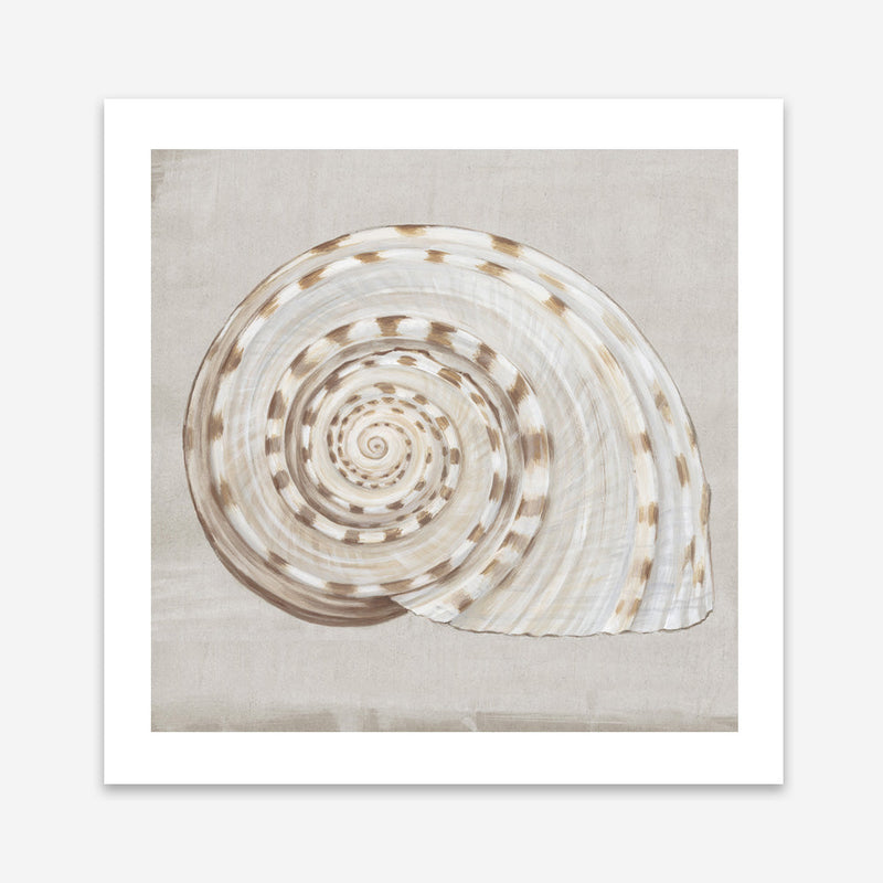 Shop Neutral Shells I (Square) Art Print a painted abstract themed wall art print from The Print Emporium wall artwork collection - Buy Australian made fine art painting style poster and framed prints for the home and your interior decor room, TPE-PC-EW142-AP