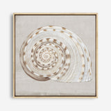 Shop Neutral Shells I (Square) Canvas Print a painted abstract themed framed canvas wall art print from The Print Emporium artwork collection - Buy Australian made fine art painting style stretched canvas prints for the home and your interior decor space, TPE-PC-EW142-CA-40X40-NF