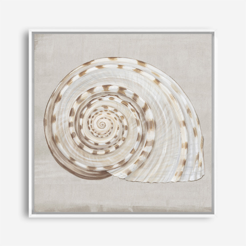Shop Neutral Shells I (Square) Canvas Print a painted abstract themed framed canvas wall art print from The Print Emporium artwork collection - Buy Australian made fine art painting style stretched canvas prints for the home and your interior decor space, TPE-PC-EW142-CA-40X40-NF