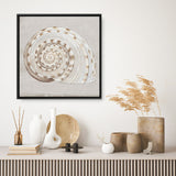 Shop Neutral Shells I (Square) Canvas Print a painted abstract themed framed canvas wall art print from The Print Emporium artwork collection - Buy Australian made fine art painting style stretched canvas prints for the home and your interior decor space, TPE-PC-EW142-CA-40X40-NF