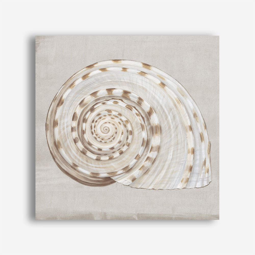 Shop Neutral Shells I (Square) Canvas Print a painted abstract themed framed canvas wall art print from The Print Emporium artwork collection - Buy Australian made fine art painting style stretched canvas prints for the home and your interior decor space, TPE-PC-EW142-CA-40X40-NF